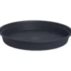 Alunen Gardenico Camelie 40 cm