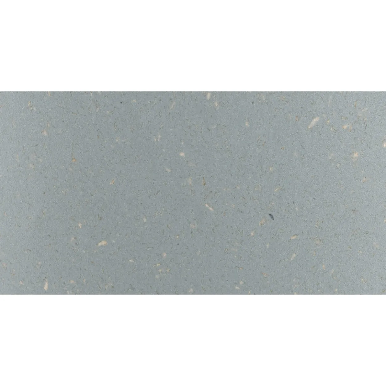 Hiilihapotuslaite Mysoda Glassy Pigeon