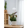 Kasvivalo Airam Iris 5W/835 240 lm valkoinen