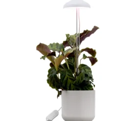 Kasvivalo Airam Iris 5W/835 240 lm valkoinen