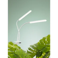 Kasvivalo Airam Tulip 16W/940 780lm