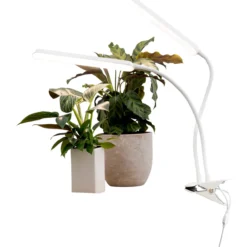 Kasvivalo Airam Tulip 16W/940 780lm
