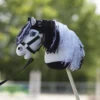 Keppihevonen Panduro islanninhevonen
