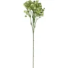 Kesäharso-oksa Kotikulta 46 cm