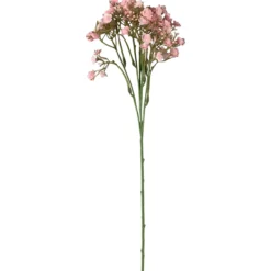 Kesäharso-oksa Kotikulta 46 cm