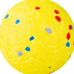 Koiran pallo Real Dog 6,5 cm kelluva
