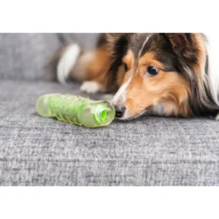 Koiran purulelu Petstages Crunchcore S