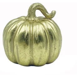 Koristekurpitsa Kotikulta 10 cm