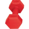 Käsipainot Future TT Sport 2 x 2 kg