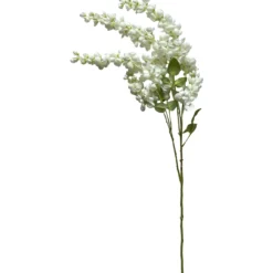 Kultasadekassia Kotikulta 97 cm
