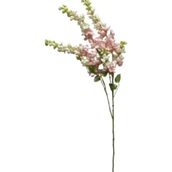Kultasadekassia Kotikulta 97 cm
