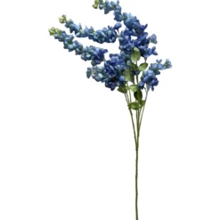 Kultasadekassia Kotikulta 97 cm