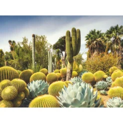 Palapeli Ravensburger 1000 palaa Huntington Desert Garden