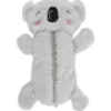 Penaali Iisi koala