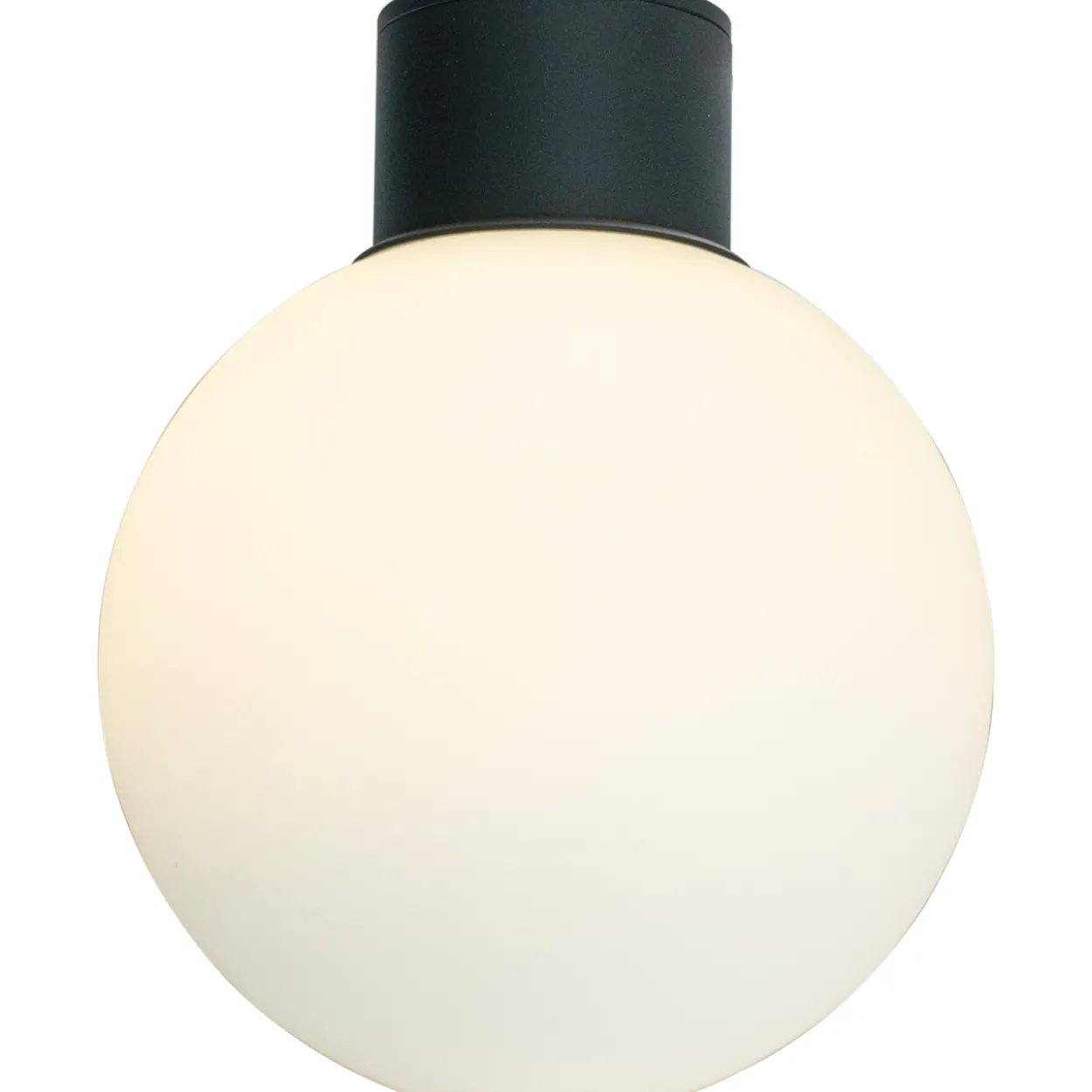 Plafondi Aneta Lighting Saltvik ulos musta/valkoinen