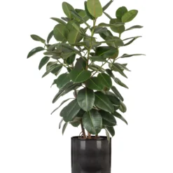 Ruukku Scheurich 828/19 harmaa