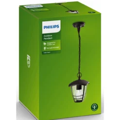 Ulkoriippuvalaisin Philips Creek 60 W