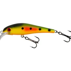 Vaappu Jesse, 8 cm