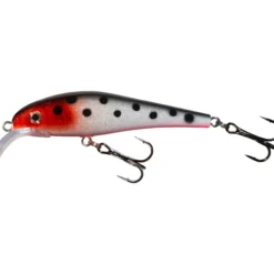 Vaappu Jesse, 8 cm