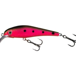 Vaappu Jesse, 8 cm