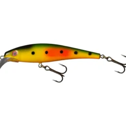Vaappu Jesse, 11 cm