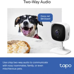 Valvontakamera TP-Link Tapo C100